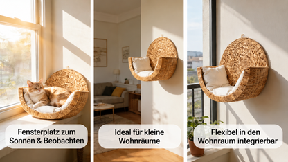 Katzen-Hängekorb aus Wasserhyazinthe an verschiedenen Plätzen im Wohnraum